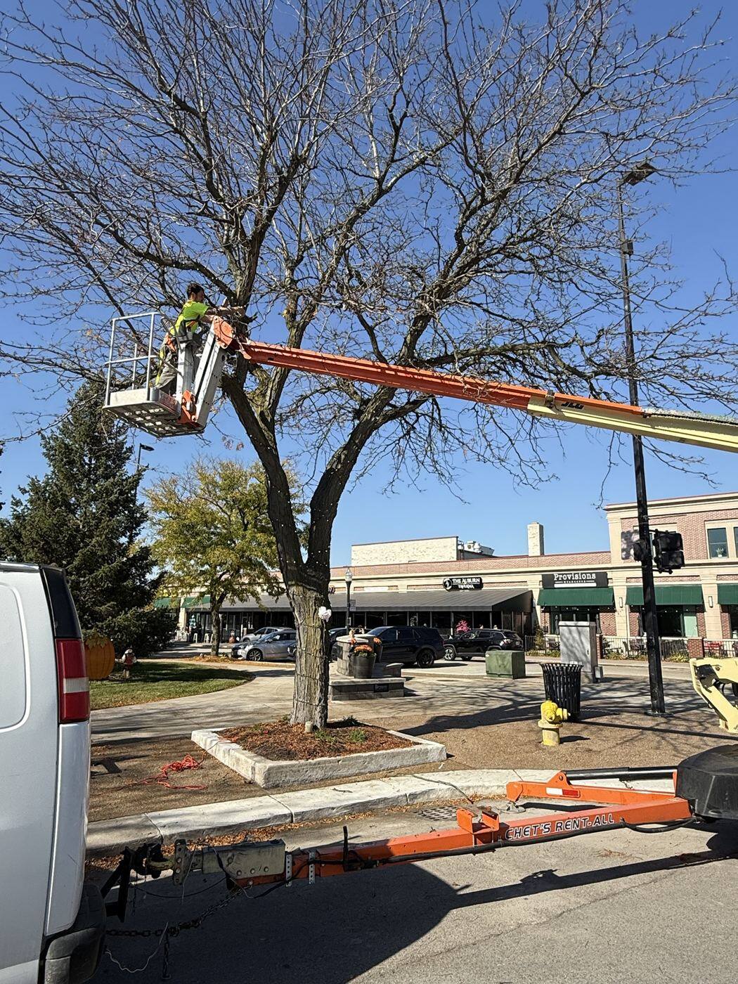 Tree wraps for the City of Wyandotte